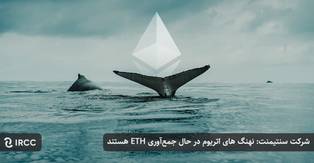 شرکت سنتیمنت: نهنگ های اتریوم در حال جمع‌آوری ETH هستند