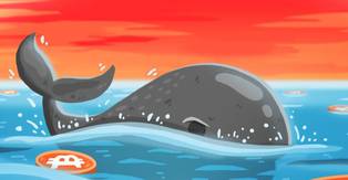 نهنگ ها در هفته گذشته چه آلتکوین هایی را بیشتر انباشت کرده اند؟